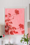 Gallery Wall - Ready to Hang - Geraniums on Pink
