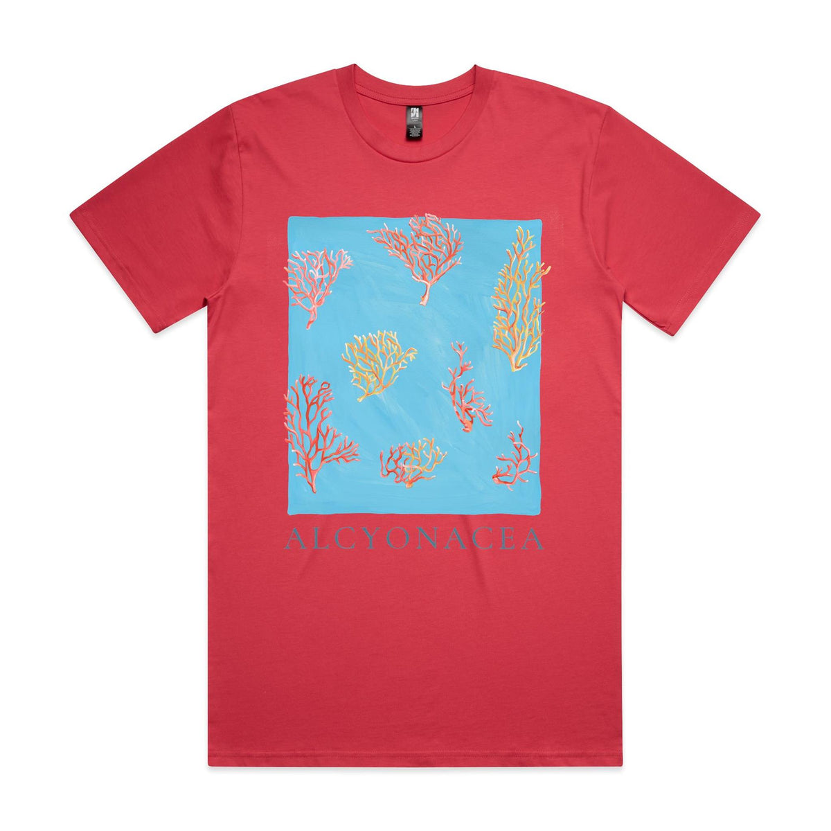 Oversize/Unisex Tee in Alcyonacea