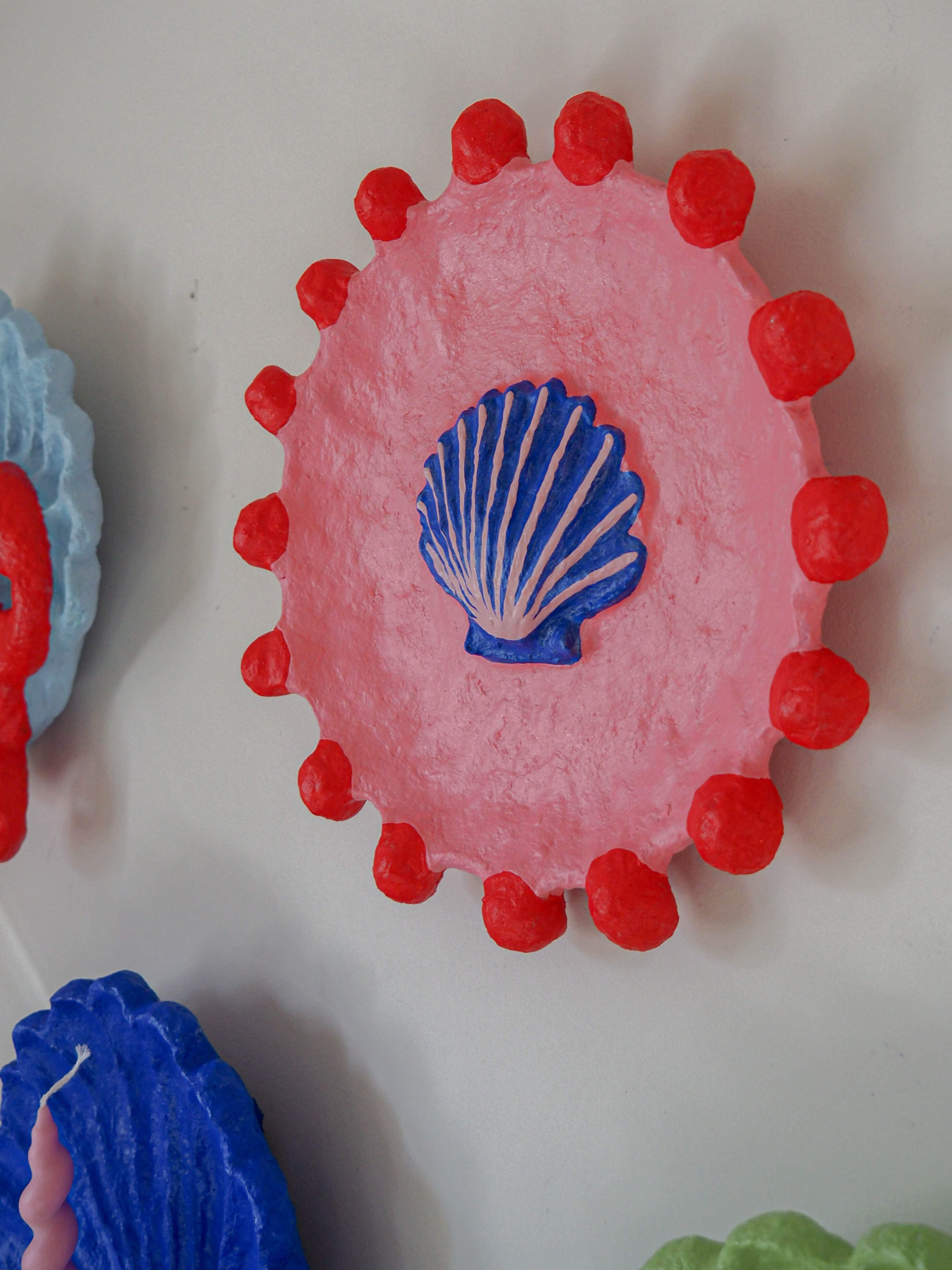 Nerites in Nudibranch