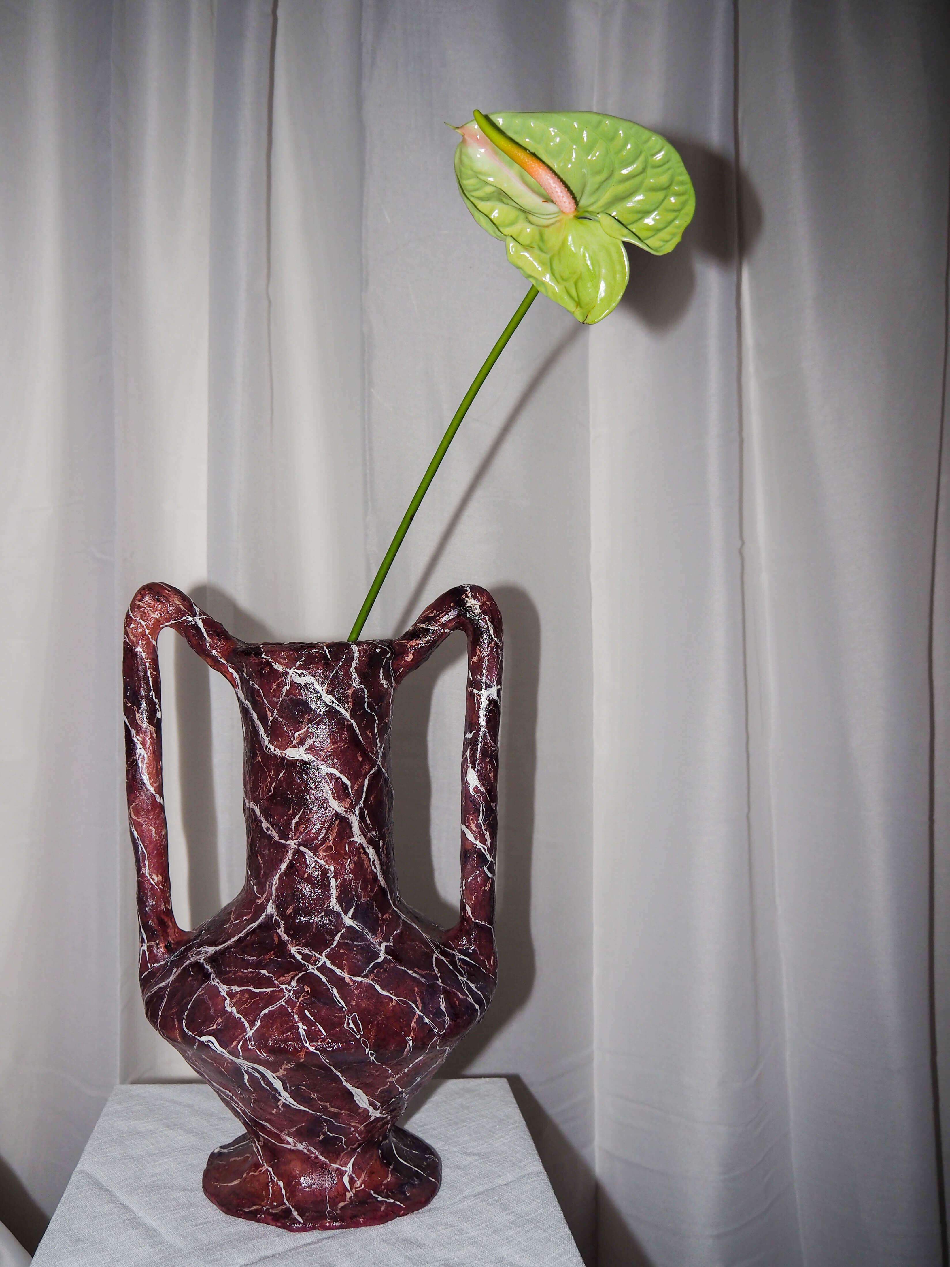 Volucra in Rosso Levanto