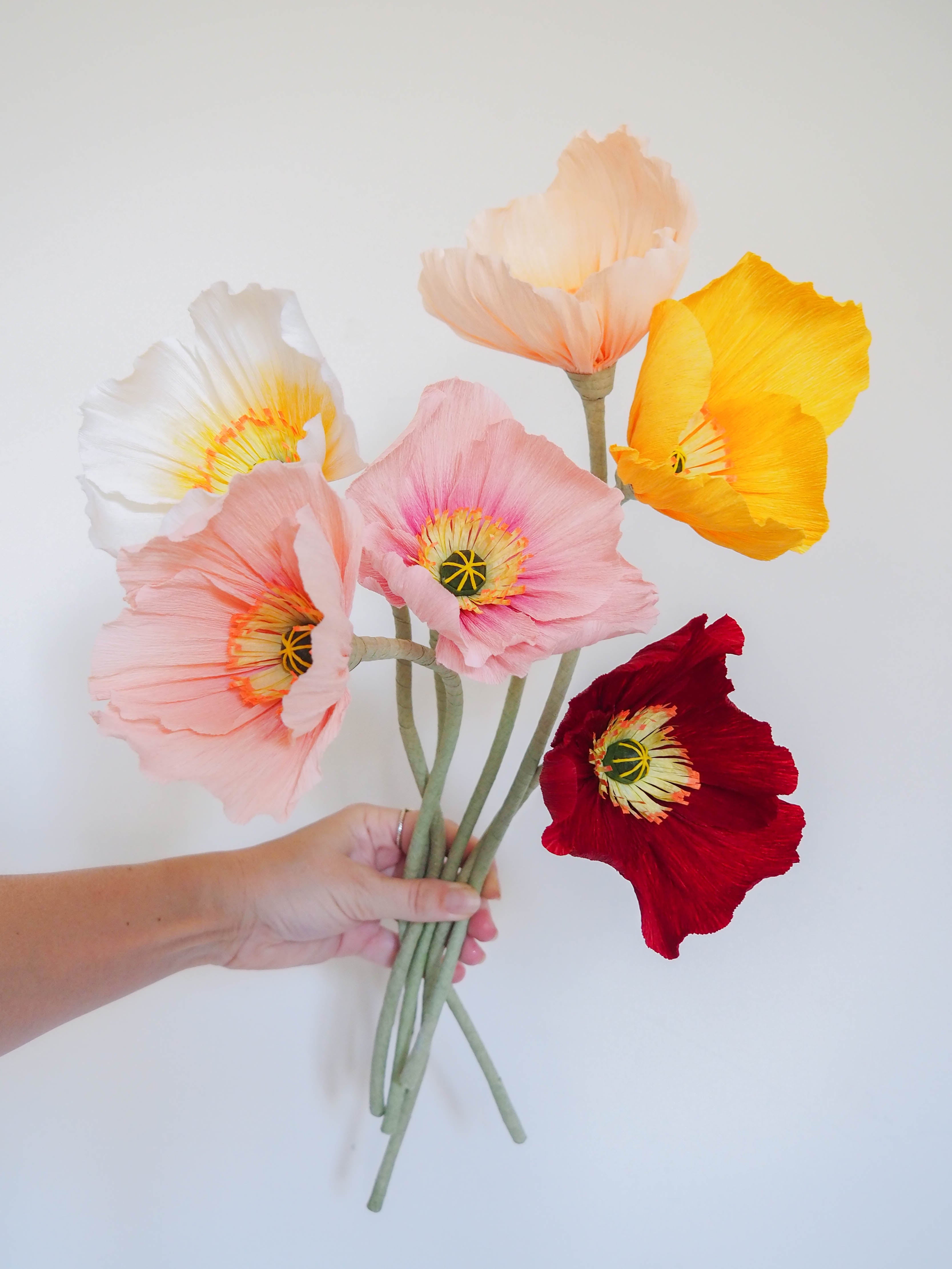Bunch of Icelandic Poppies