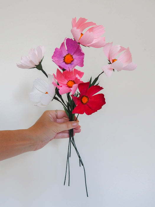 Bunch of Cosmos