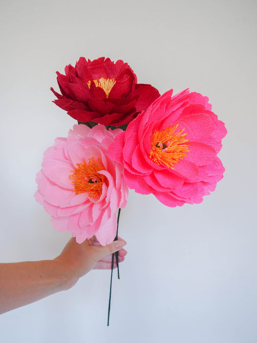 Bunch of Peonies