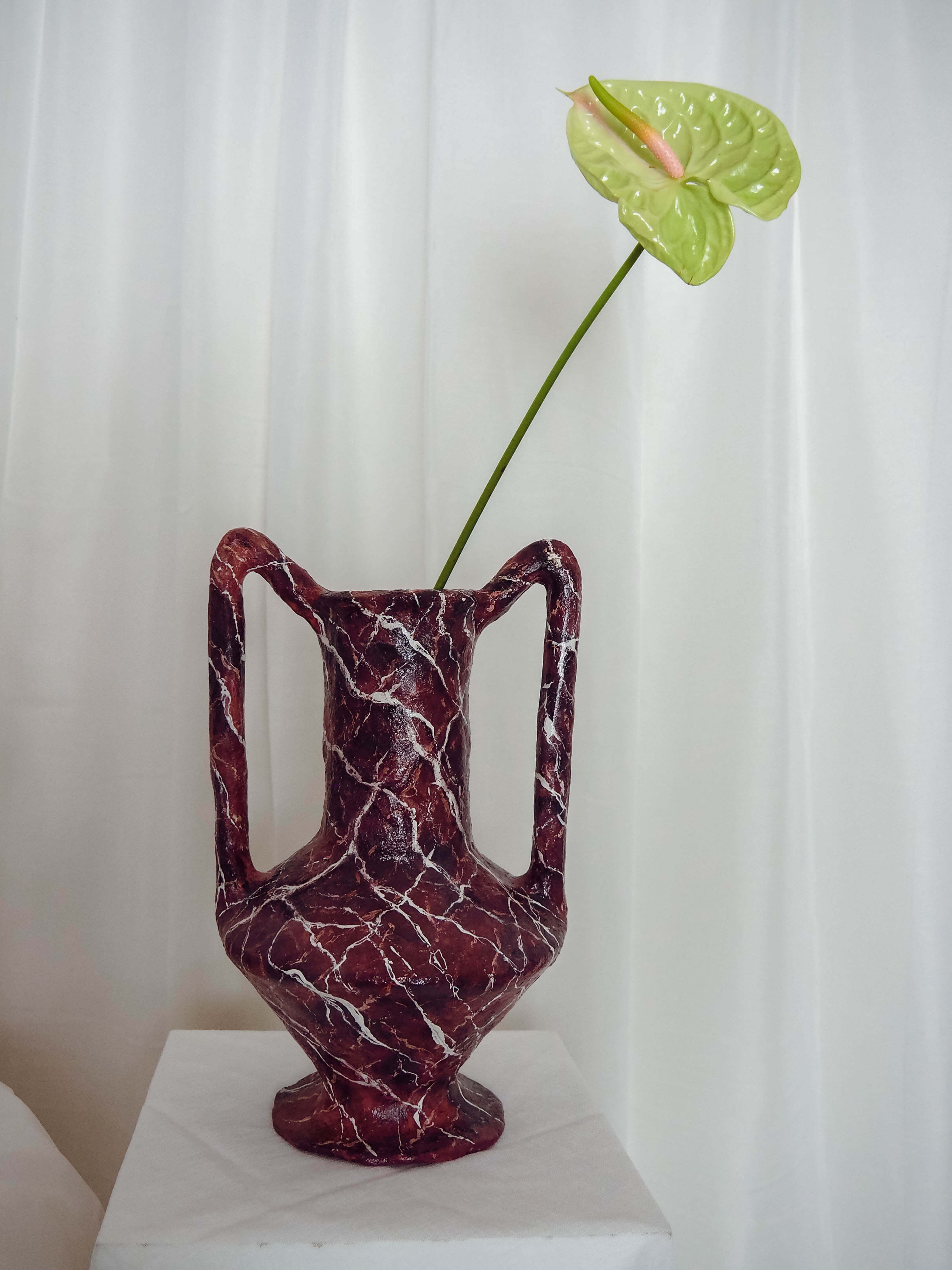 Volucra in Rosso Levanto