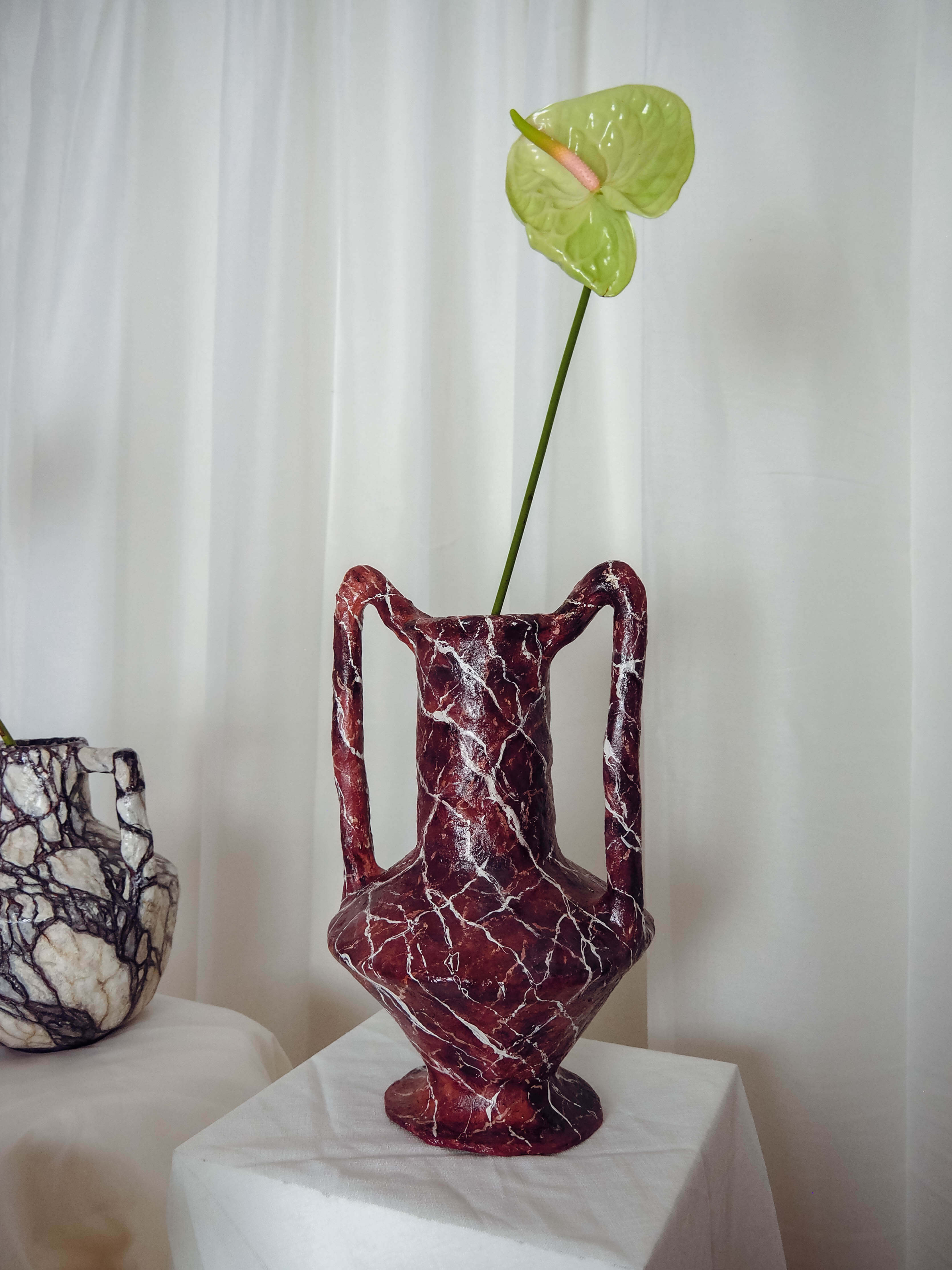 Volucra in Rosso Levanto