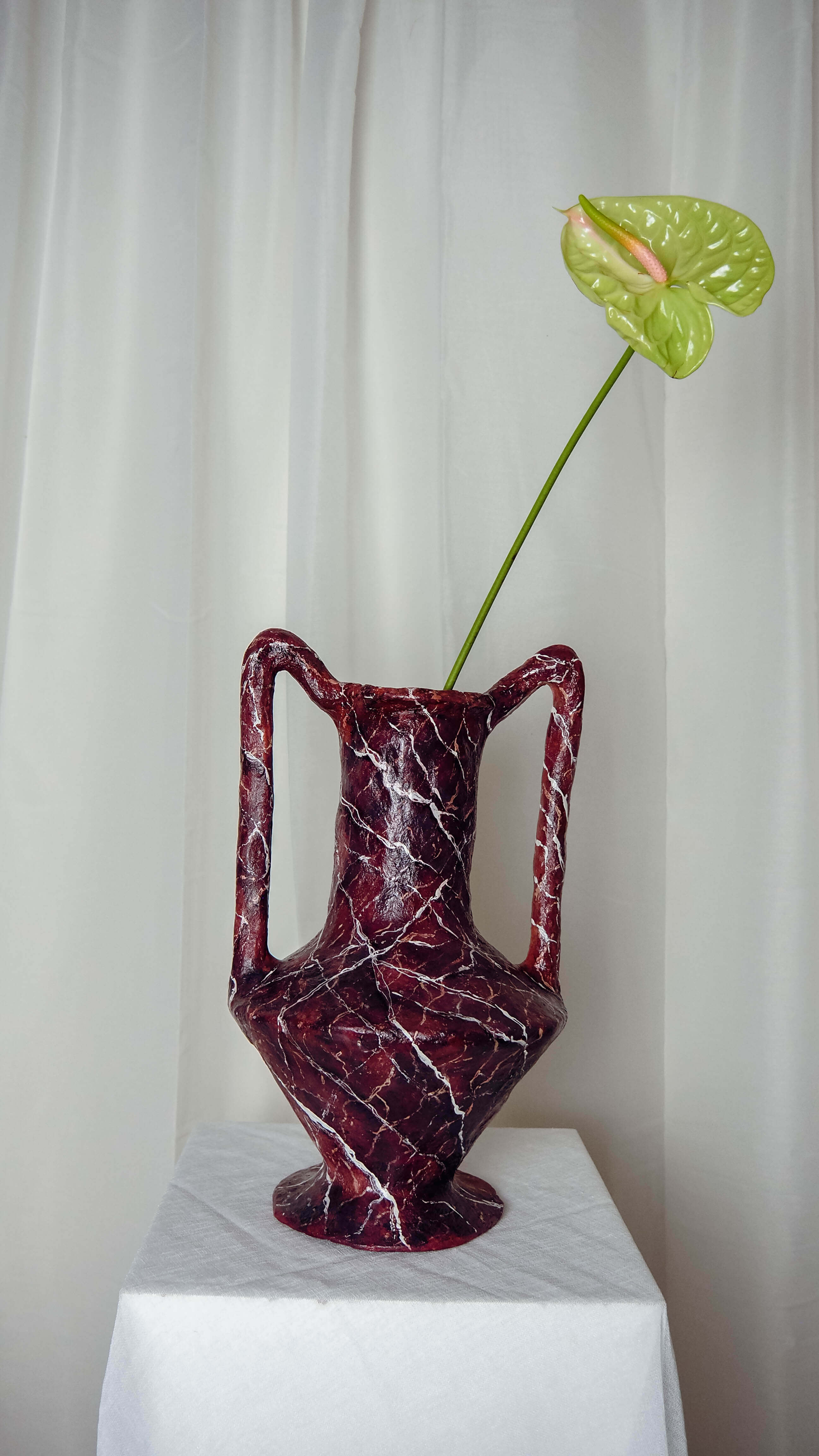 Volucra in Rosso Levanto