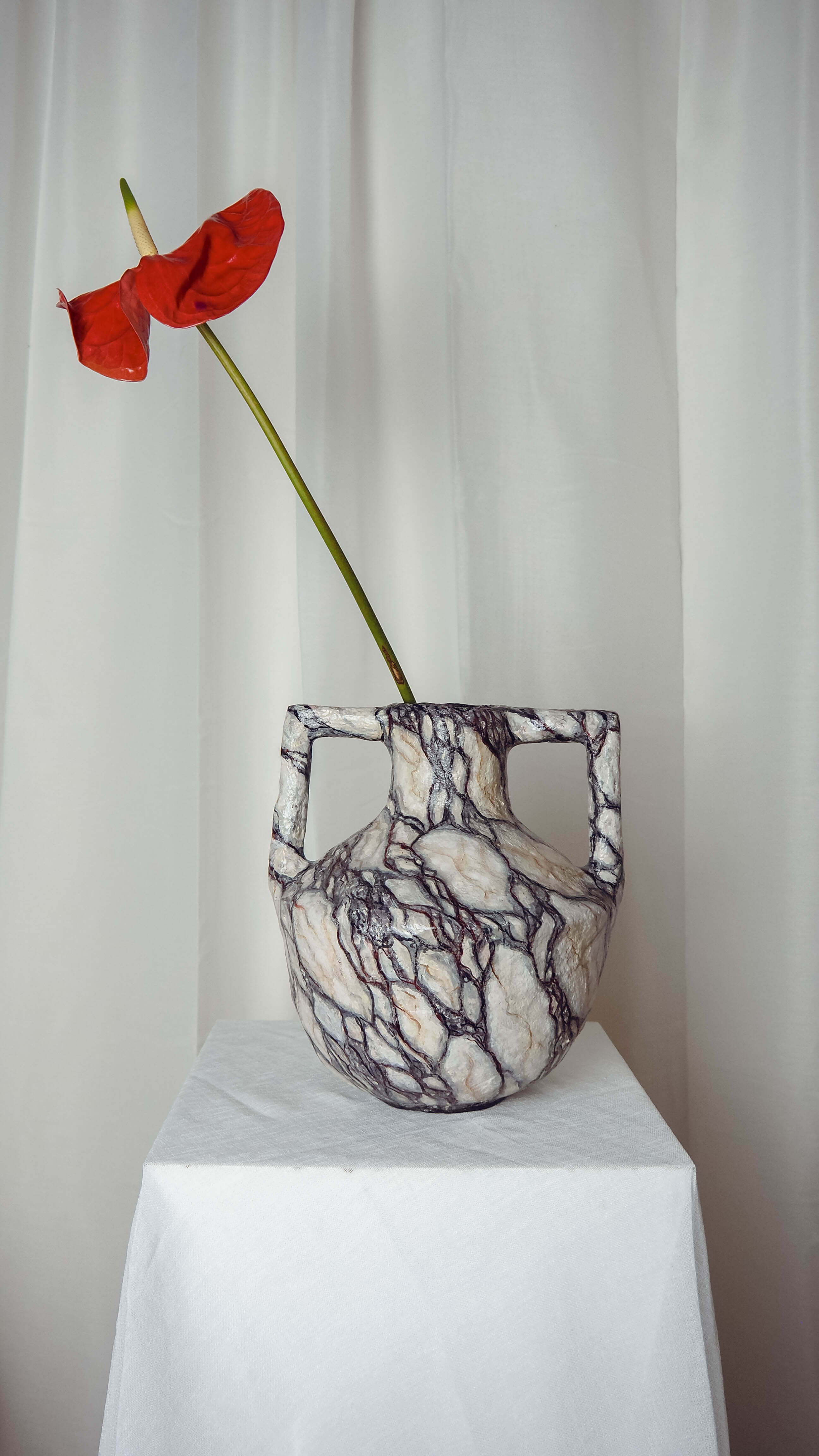 Angulus in Calacatta Viola