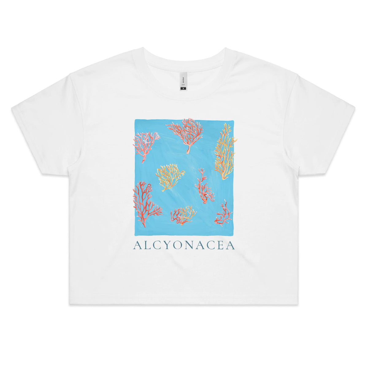 Crop Tee in Alcyonacea