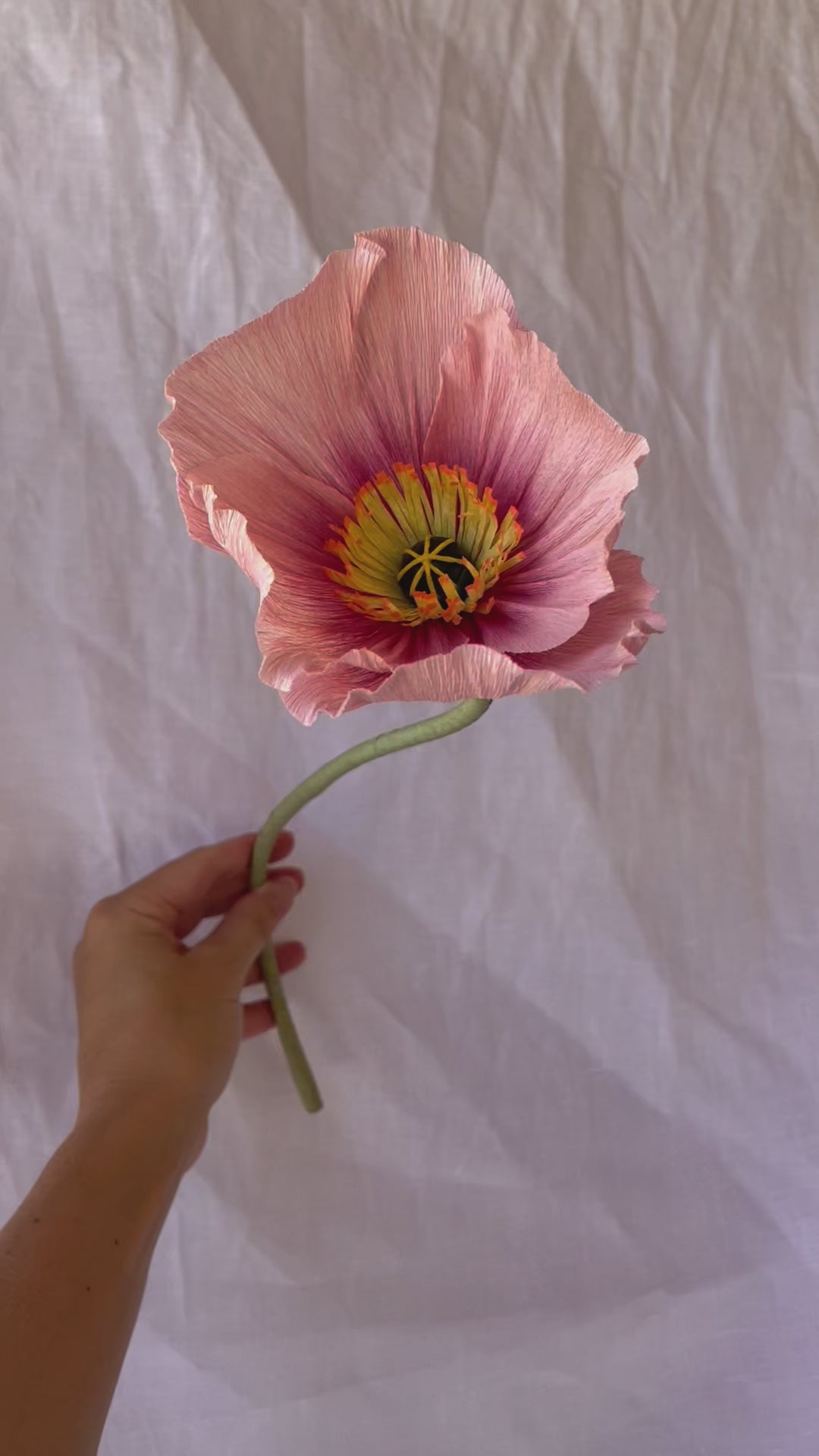 Bunch of Icelandic Poppies