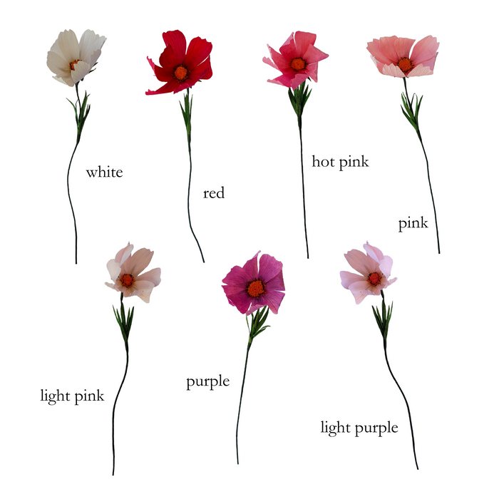Bunch of Cosmos