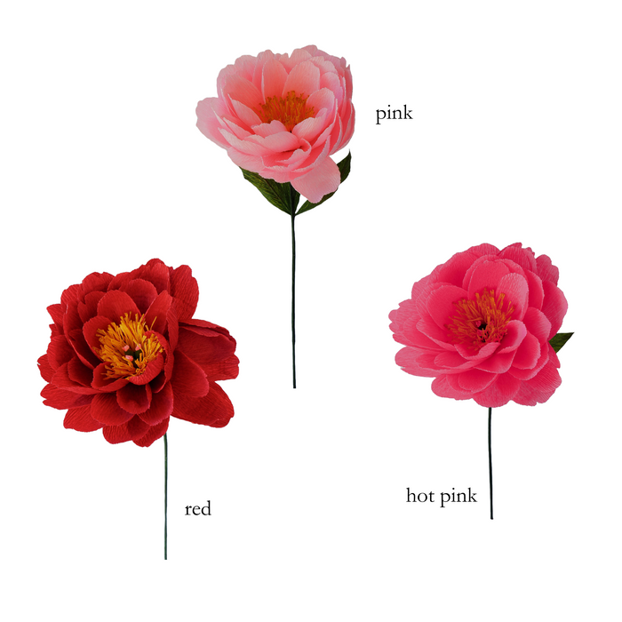 Bunch of Peonies