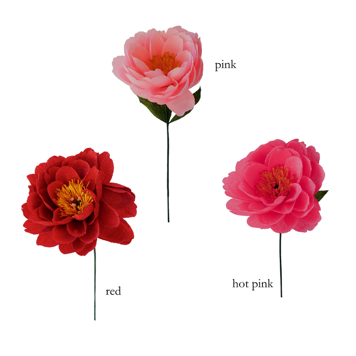 Peonies