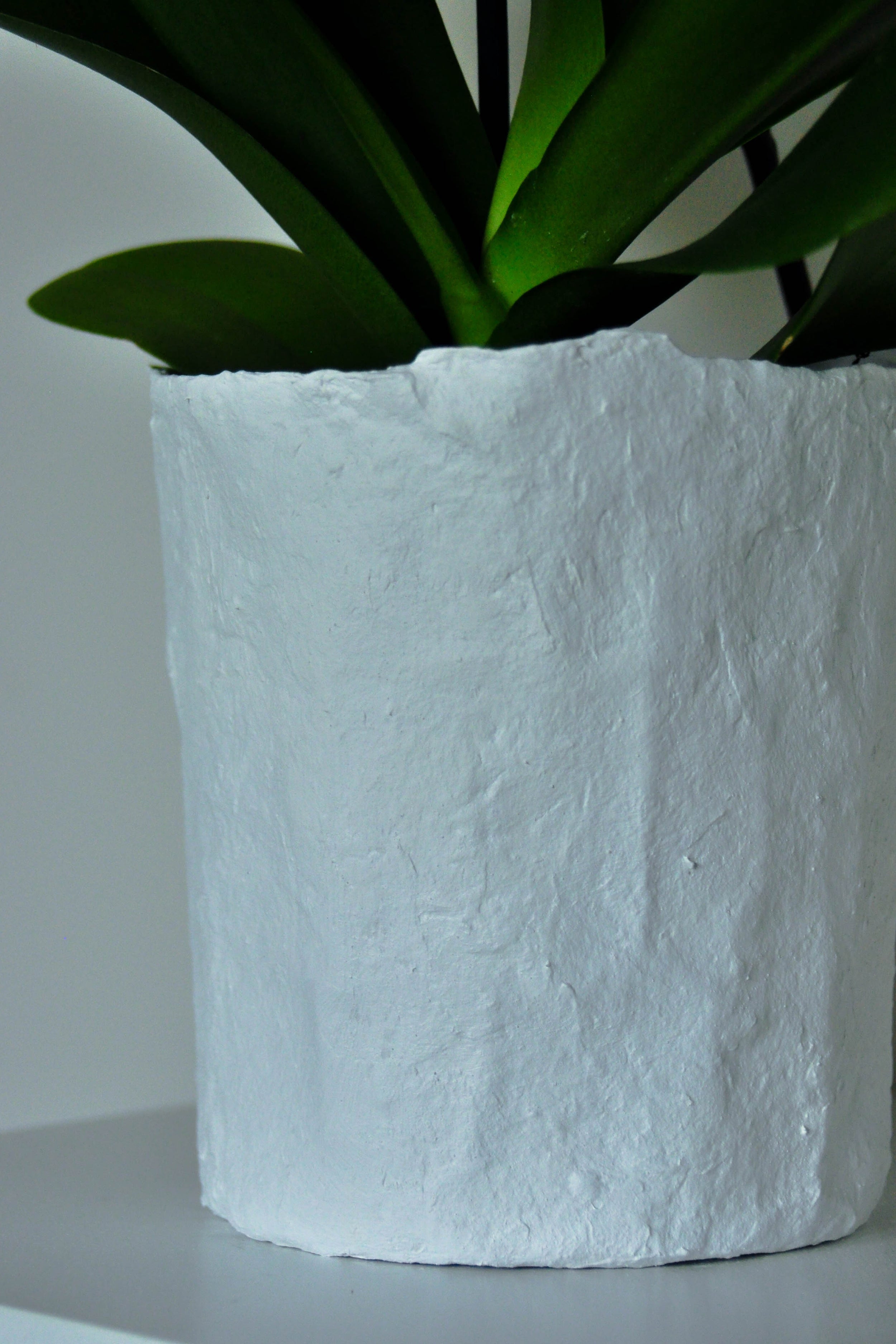 Minimalist Interior Decor - Indoor Plants