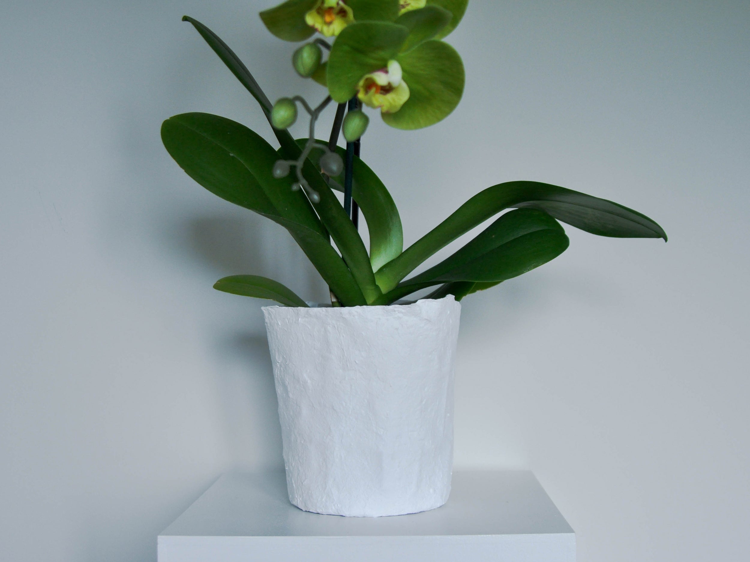 Contemporary White Handmade Vessel
