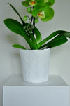 Orchid Planter - All White - Handmade Vessel