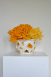 Pottery Vase - Preserved Flowers - Ceramic Planter