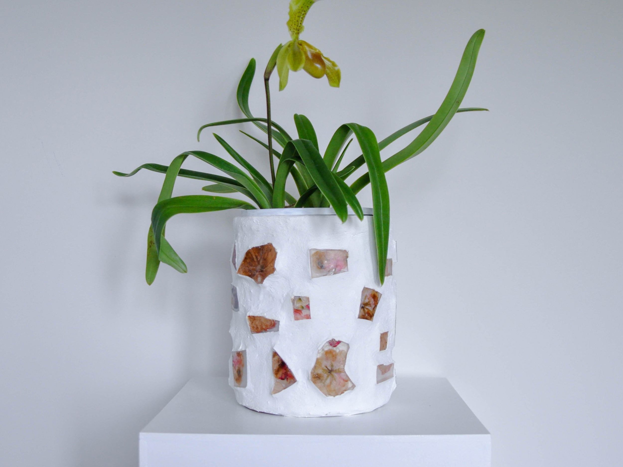 Preserved Flowers In Resin - Handmade Planter