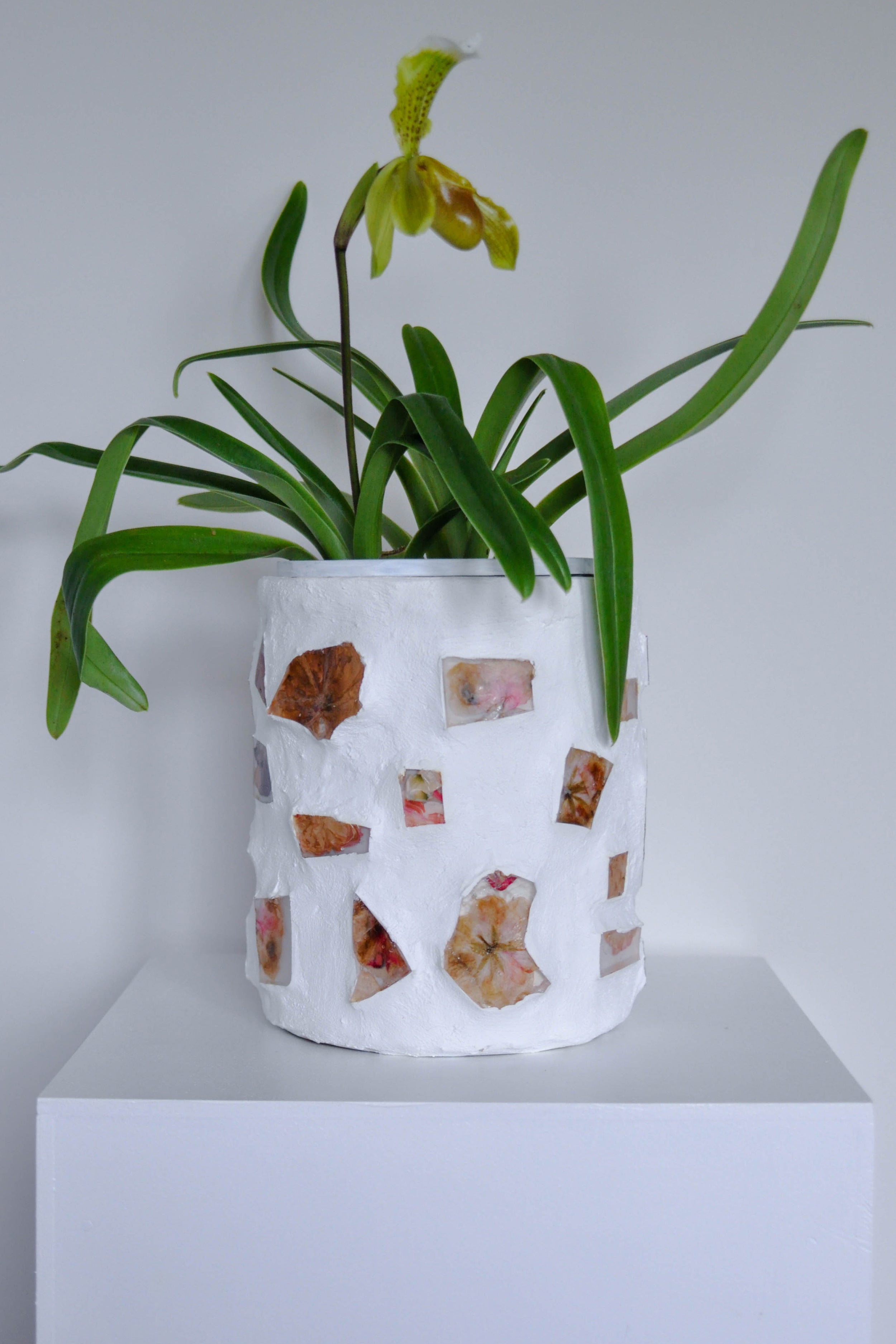 Indoor Planter - Local Art Perth
