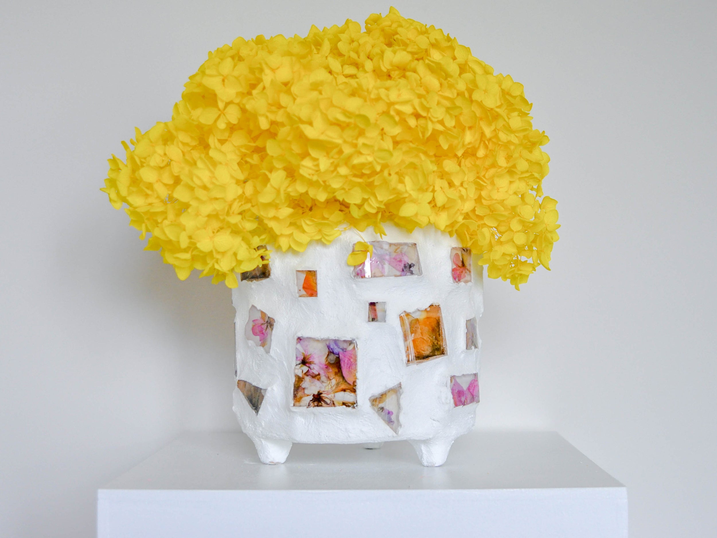 Magenta Flowers Planter