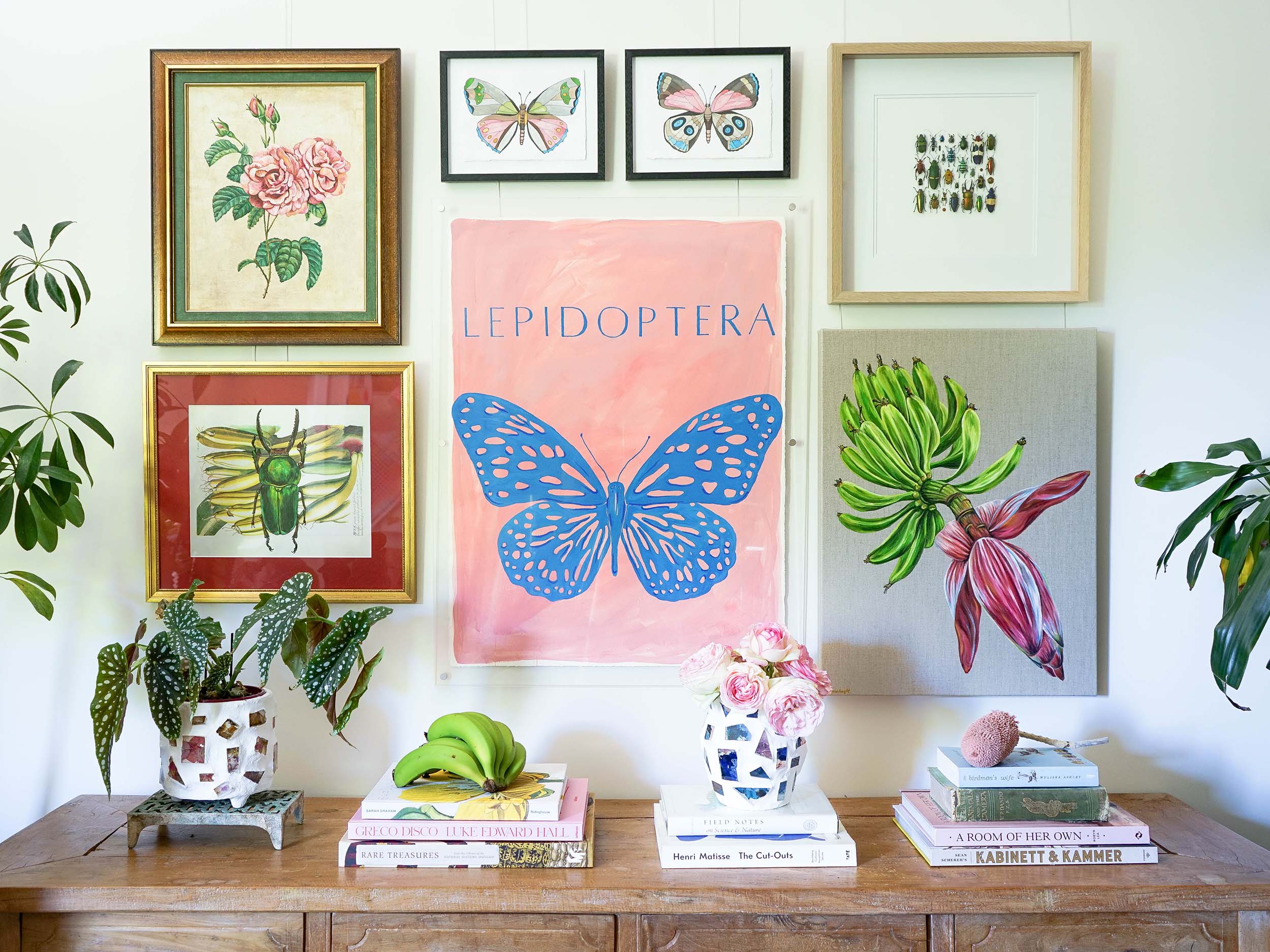 Natural Oology Gallery Wall