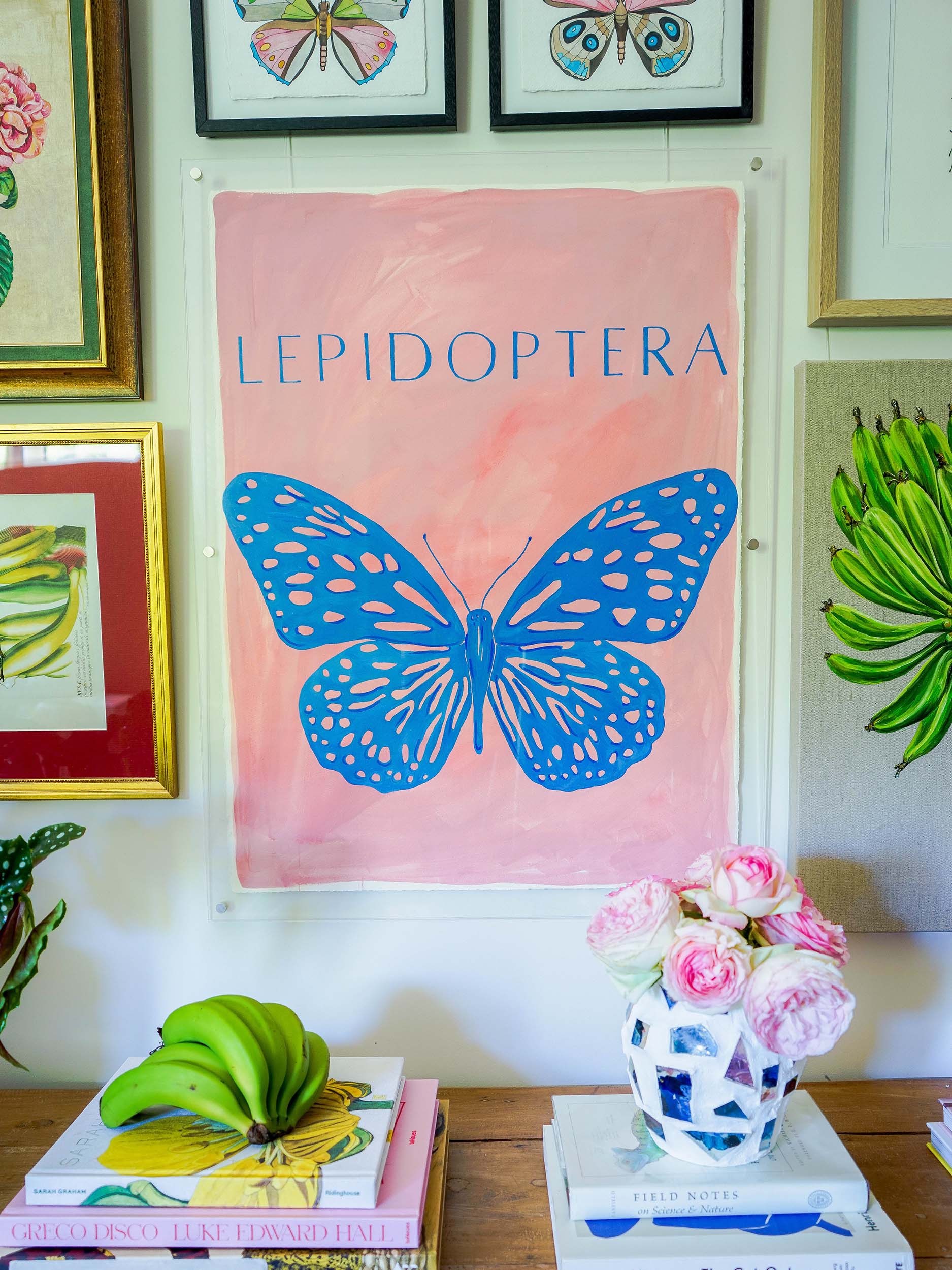 Lepidoptera