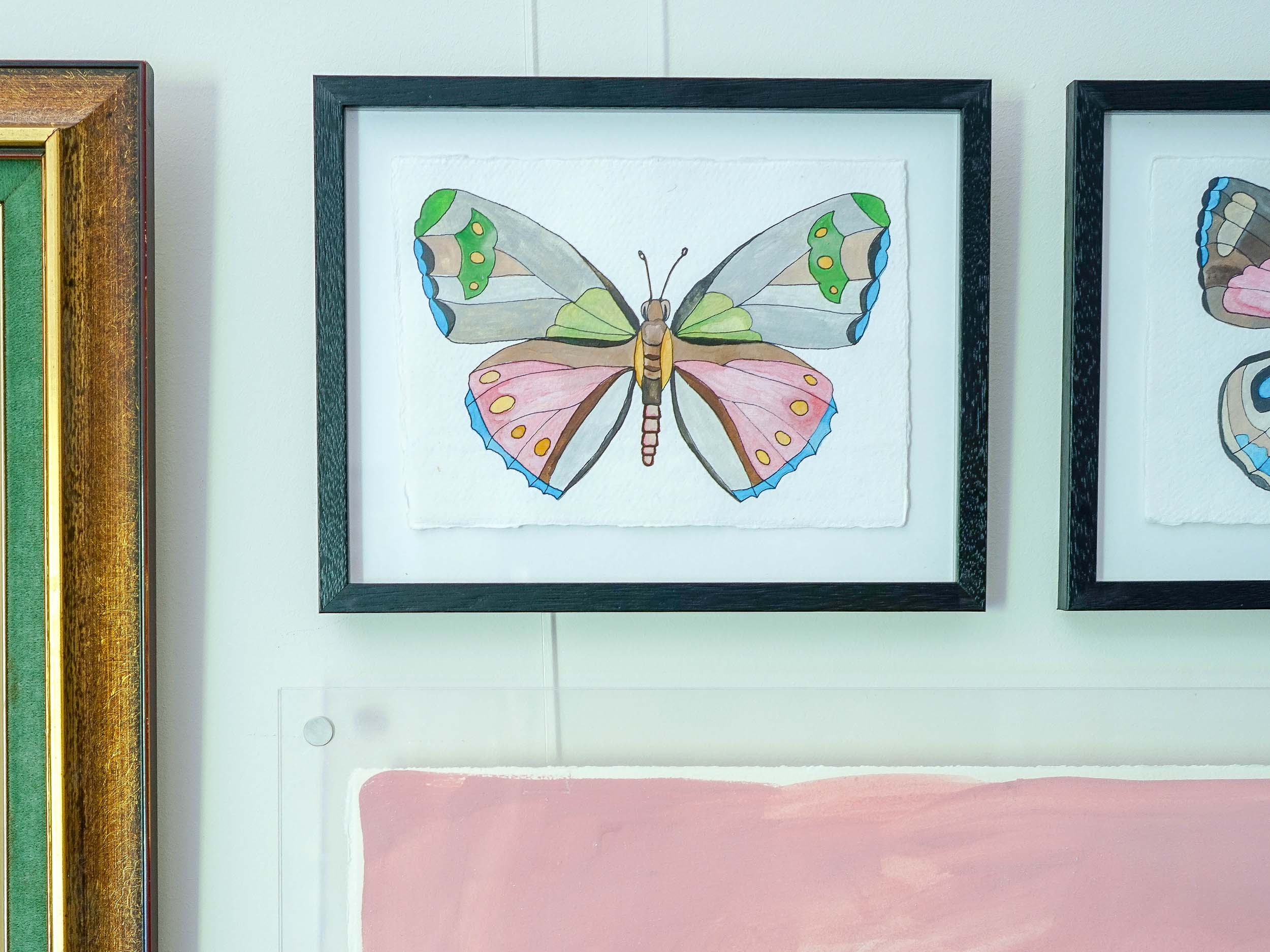 Natural Oology Gallery Wall
