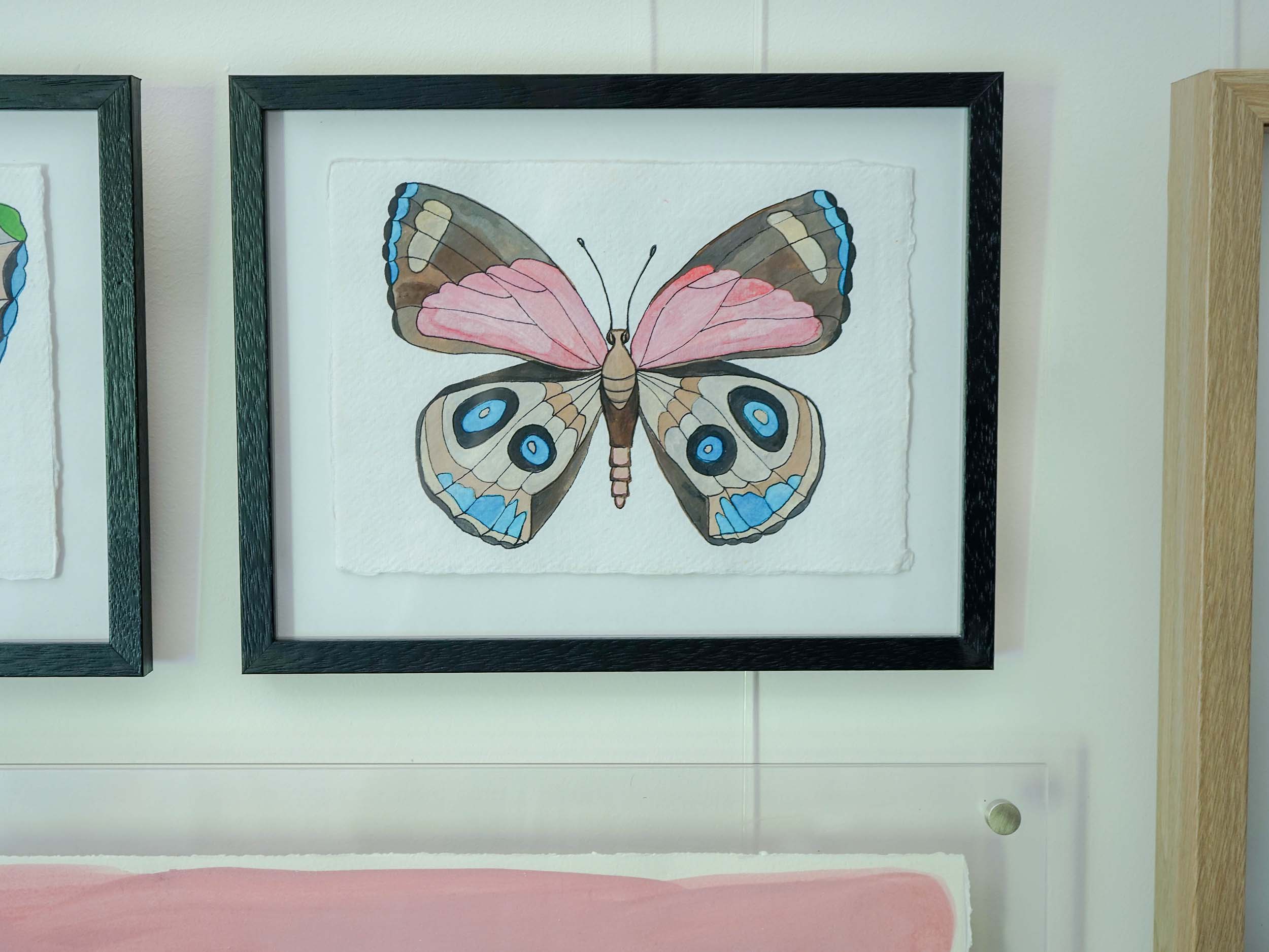 Natural Oology Gallery Wall