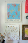 Sea Treasure Gallery Wall Art Set - Coral Alcyonacea - Shells - Beach Paintings