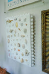 Shell Mosaic with Bobble Detail on Frame - White Plaster