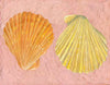 Textured Scallop Yellow Orange Shell Artwork