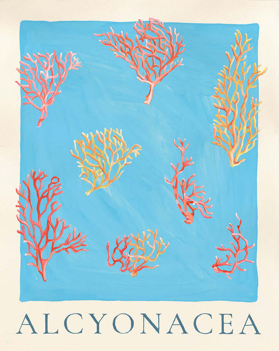 Alcyonacea Coral Poster - Blue Pink Orange