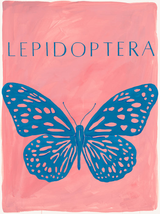 Lepidoptera