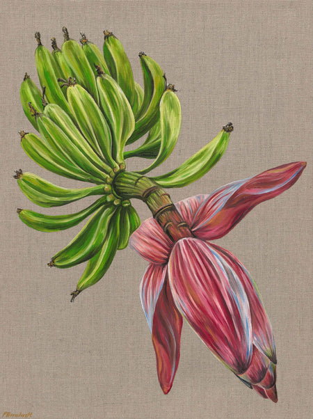 Banana Blossom Oil on Raw Linen Canvas