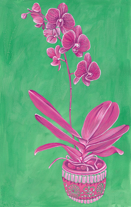 Pink On Green Orchid - Limited Edition Print