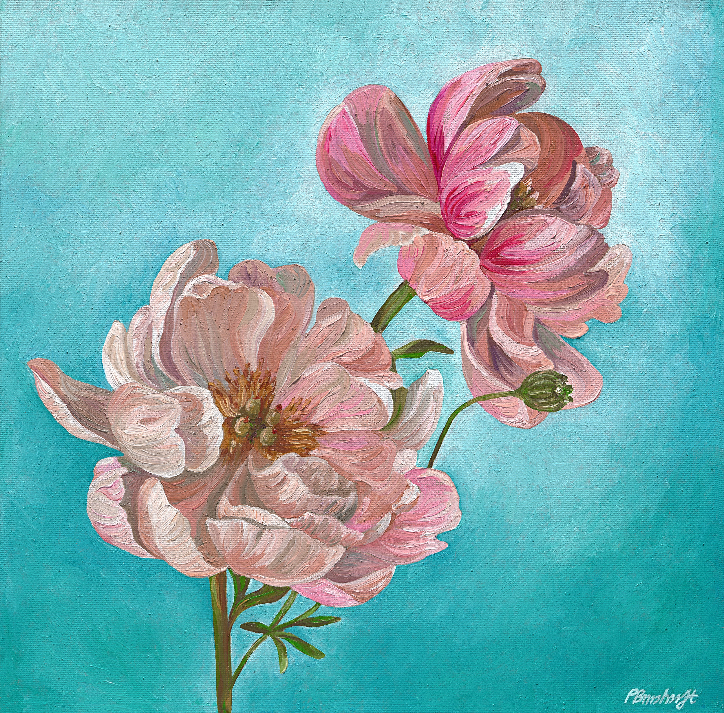 Fine Art Print - Affordable Wall Art - Pink Peonies