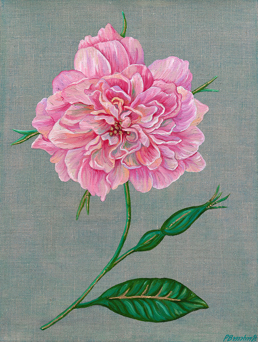 Falling Rose