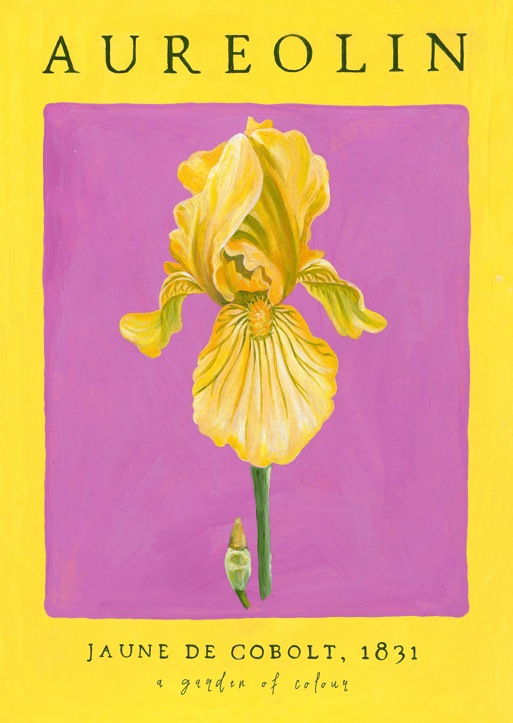 Colour Bloom Gallery Wall