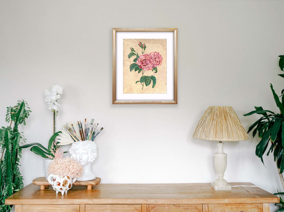 Vintage Rose Botanical - Pierre de Ronsard Print