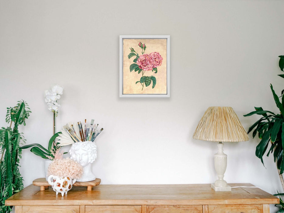 Vintage Rose Botanical - Pierre de Ronsard Print