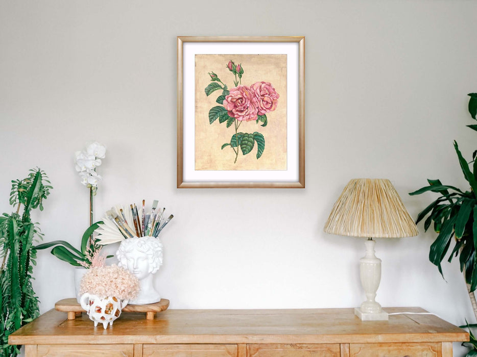 Vintage Rose Botanical - Pierre de Ronsard Print