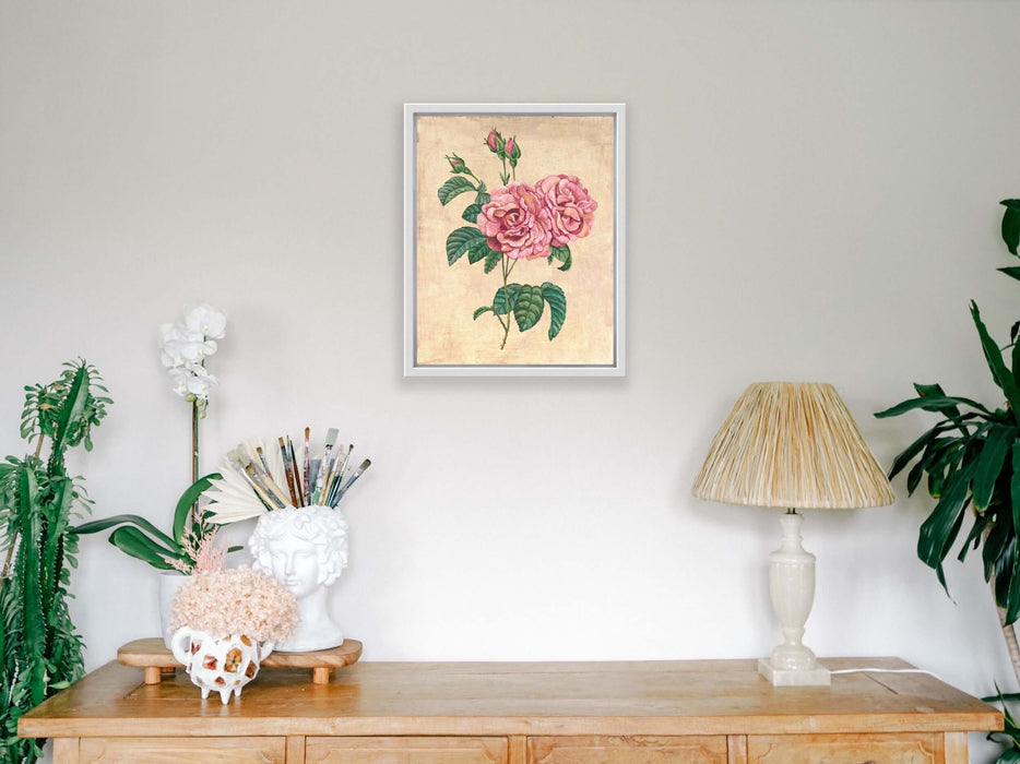 Vintage Rose Botanical - Pierre de Ronsard Print