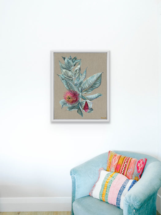 West Flores Gallery Wall - Eucalyptus Macrocarpa Print Canvas Large