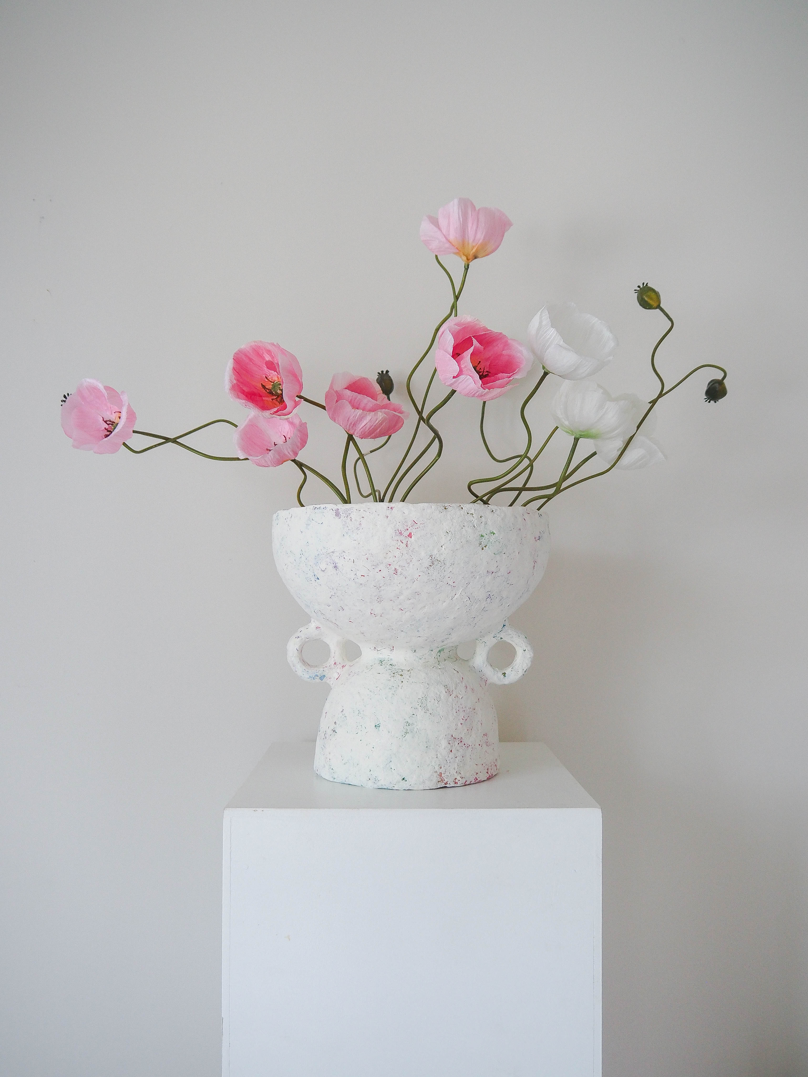 Duple in Fairy Bread