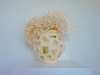 Preserved Orchids and Hydrangeas - Soft Yellow Plaster Vessel - Handmade Floral Tiles