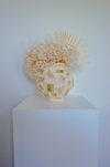 Preserved Hydrangeas - Soft Yellow Plaster Vessel - Handmade Floral Tiles