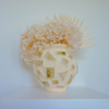 Preserved Orchids and Hydrangeas - Soft Yellow Plaster Vessel